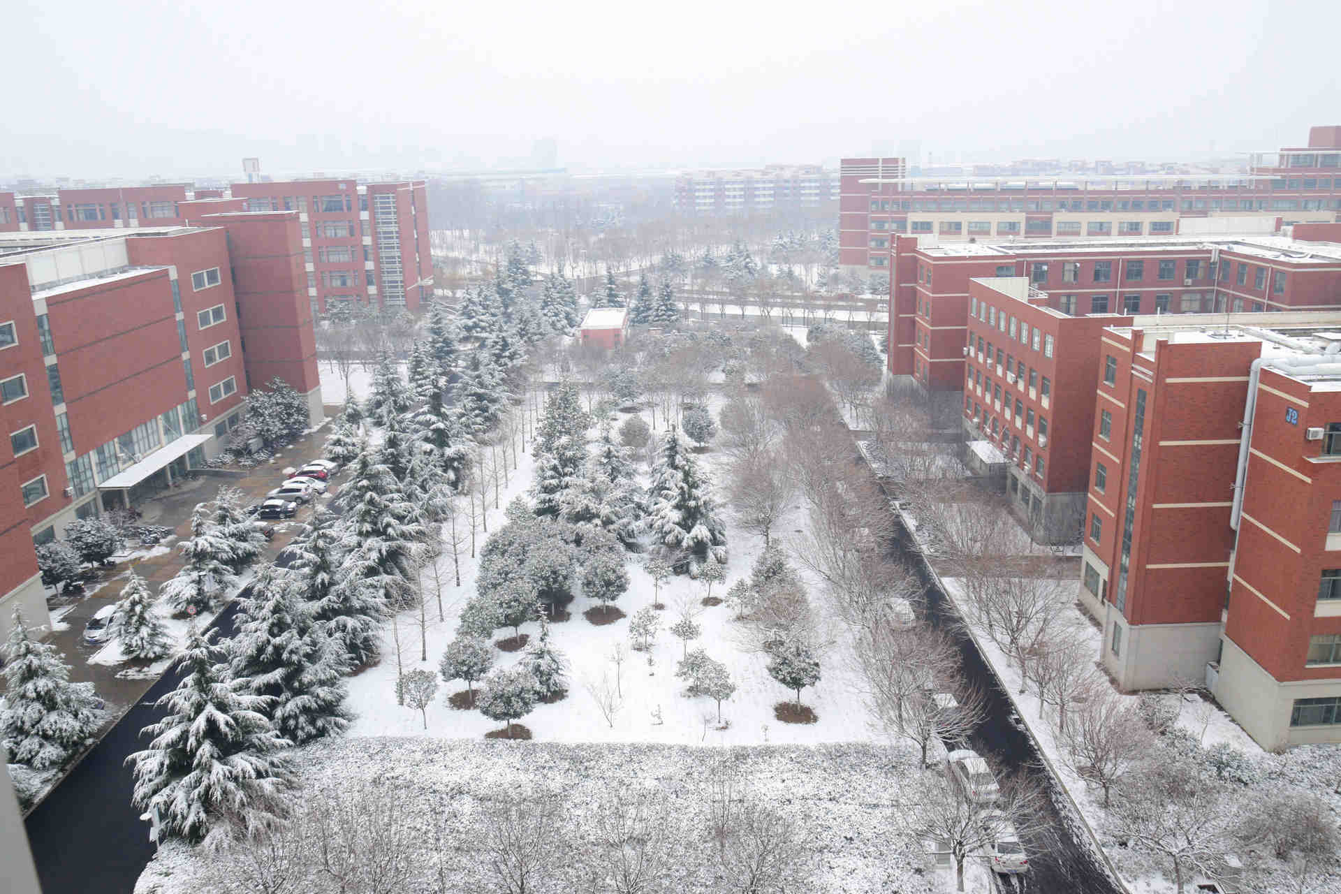 气温狂降至-10℃！青岛人盼的雪又要来了！还连下两天！