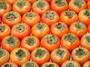 保护眼睛的蔬菜,什么蔬菜有助于保护眼睛