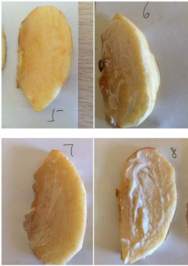 爱过敏宝宝面霜推荐,婴儿面霜测评红黑榜
