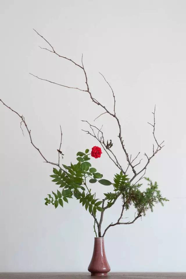 我也想有间这样的茶室，就在城中央，你却找不到|春日事5