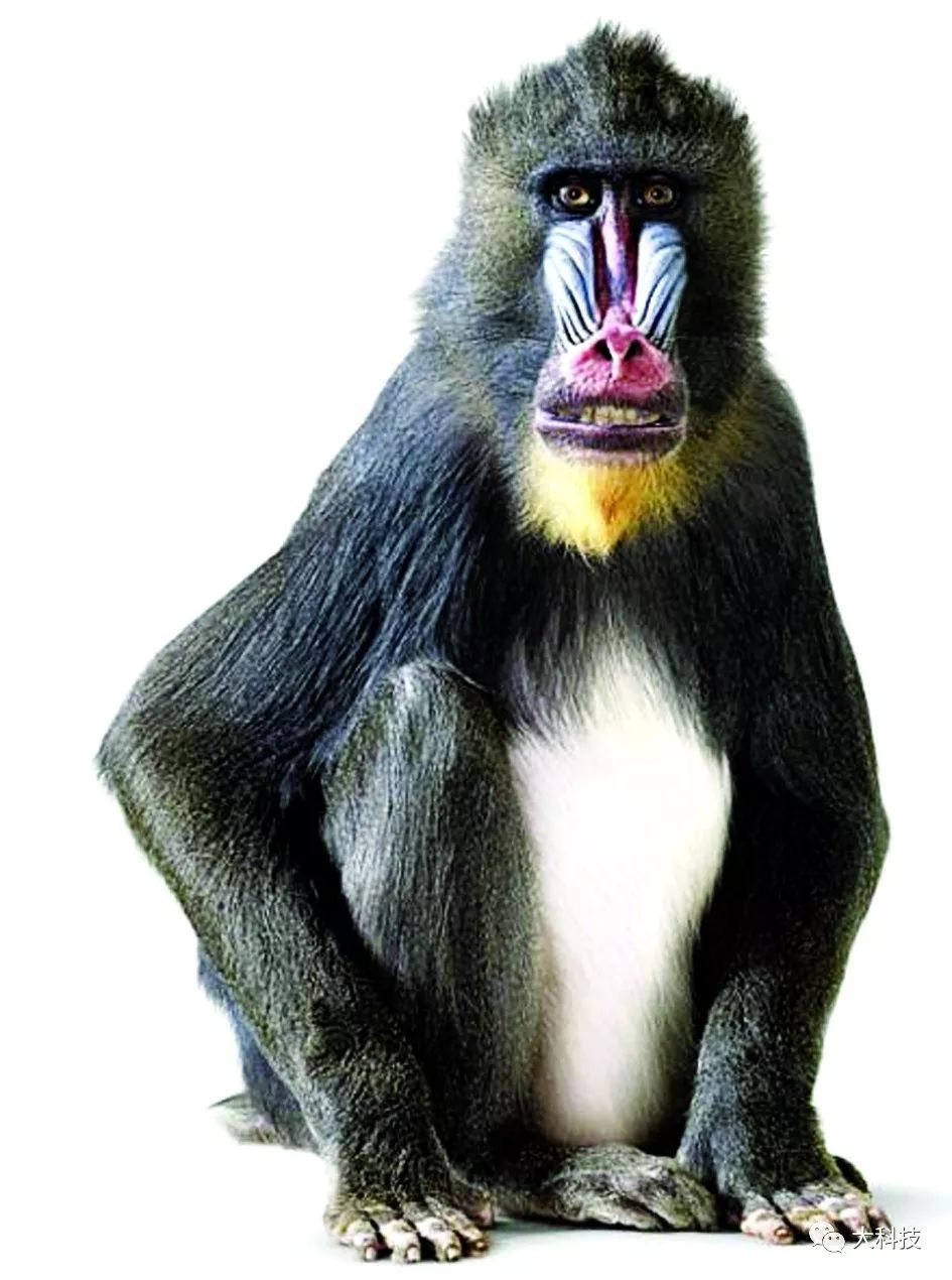 想赢玩什么英雄,想赢必须要输得漂亮