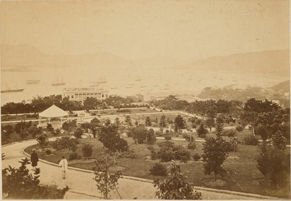 三鞭参茸固本丸功效与作用禁忌,同仁堂固本丸