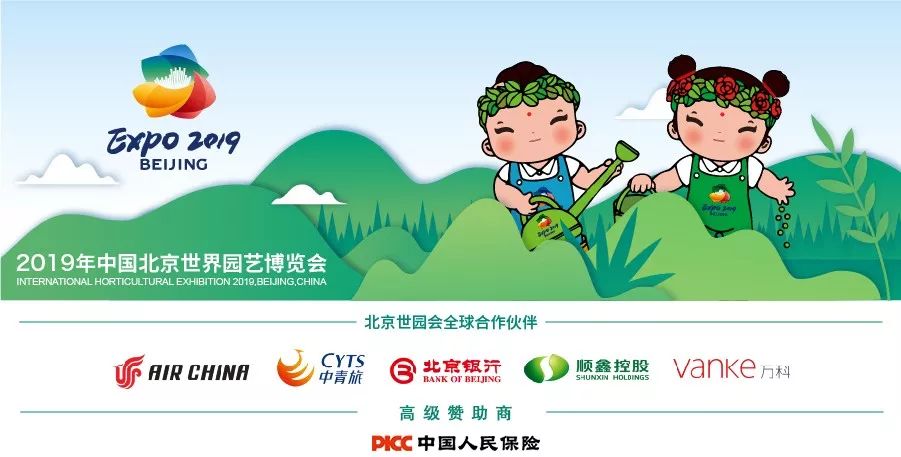 记忆里的那些花儿｜石榴花开，生如夏花之绚烂