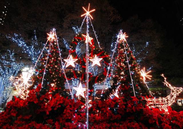 姹変腑鍧愰珮閾佺帺鐨勫ソ鍘诲,鍘绘眽涓帺濂借繕鏄幓骞垮厓鐜╁ソ