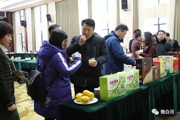 让秦巴奇果誉满四方丨白河木瓜产业发展研讨会圆满举行