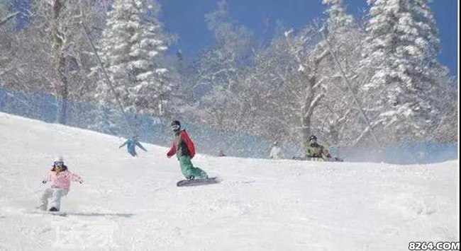 贵州十大滑雪场排名,中国滑雪场十大排名