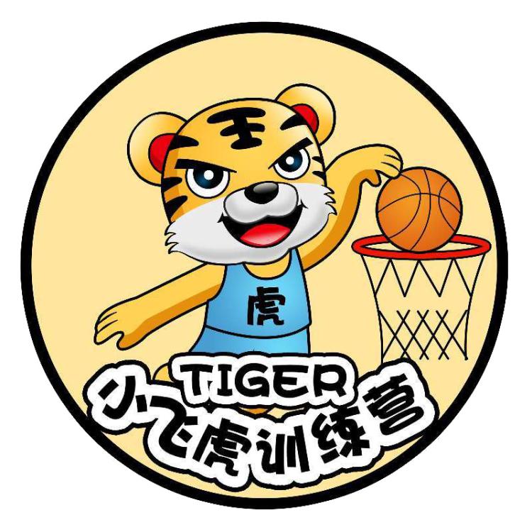 小飞虎篮球课,小飞虎教程