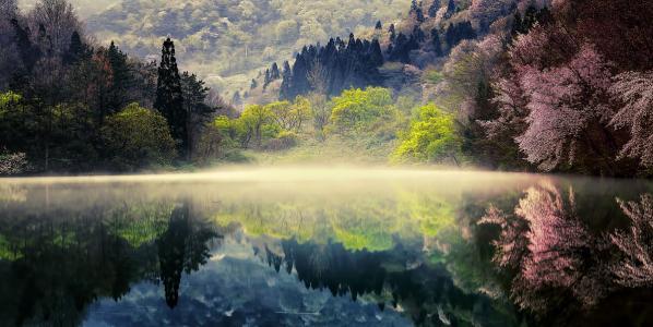 可爱雪冰淇淋“诞生记”带你感受舌尖上的冰爽