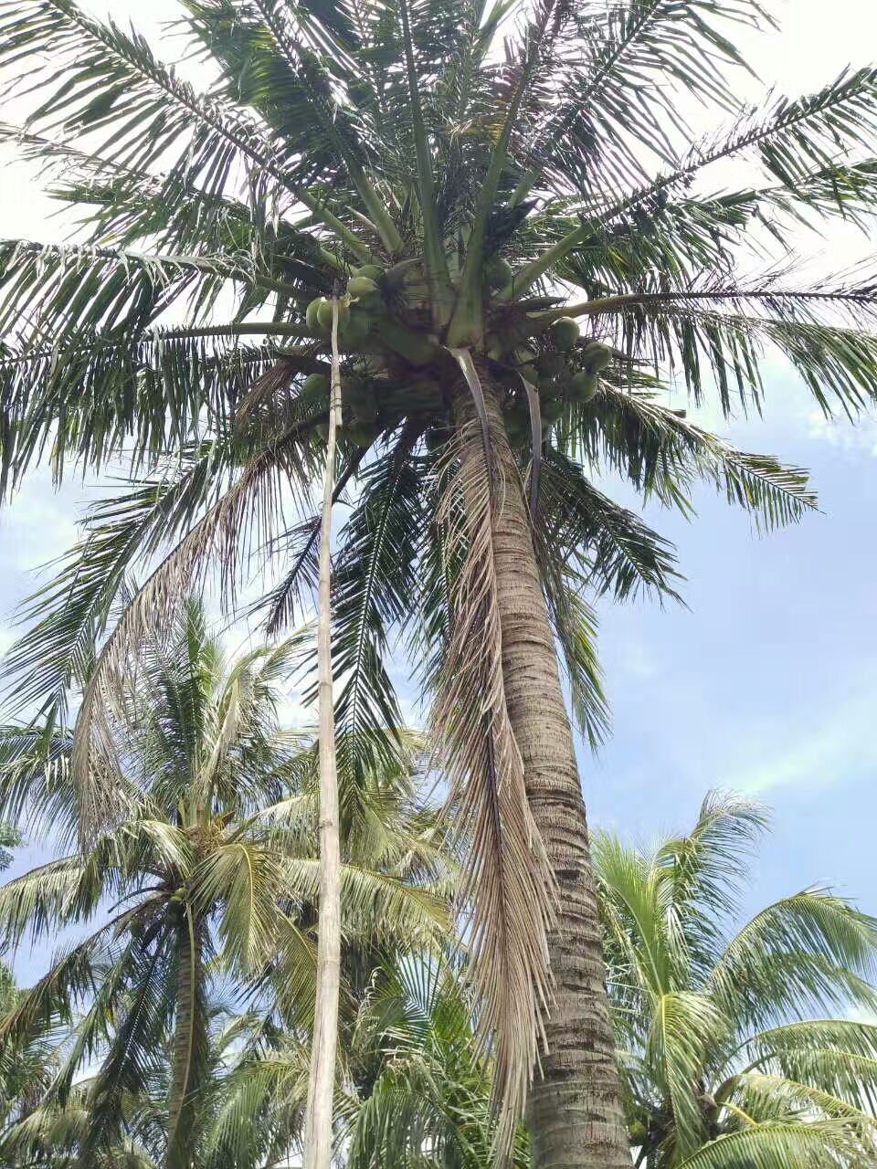 代沟的主要责任在父母,父母和自己的审美代沟