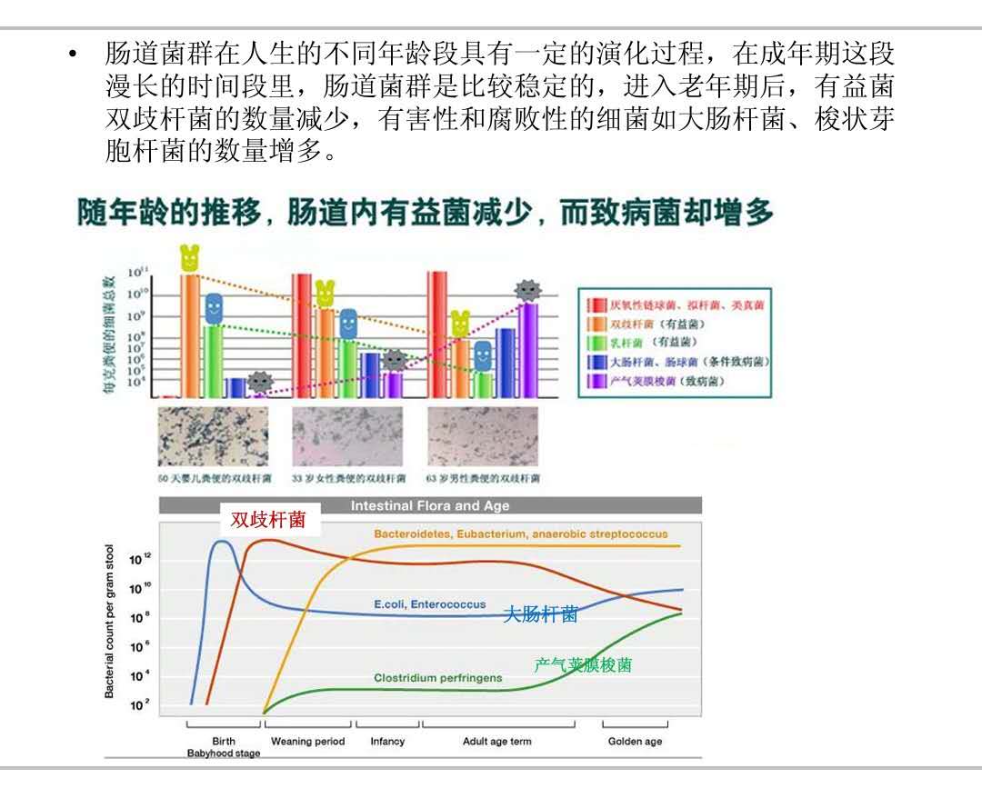 肠道健康的风风雨雨之五(最后一集)