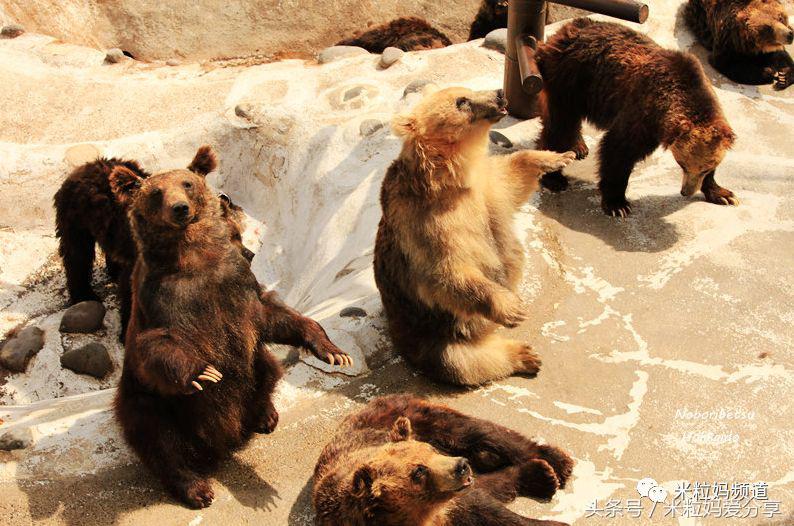 亲子游出境自由行,亲子游建议去的十个城市