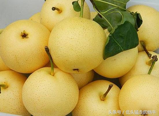 准妈妈孕吐不适怎么办,孕妈妈恶心怎么办