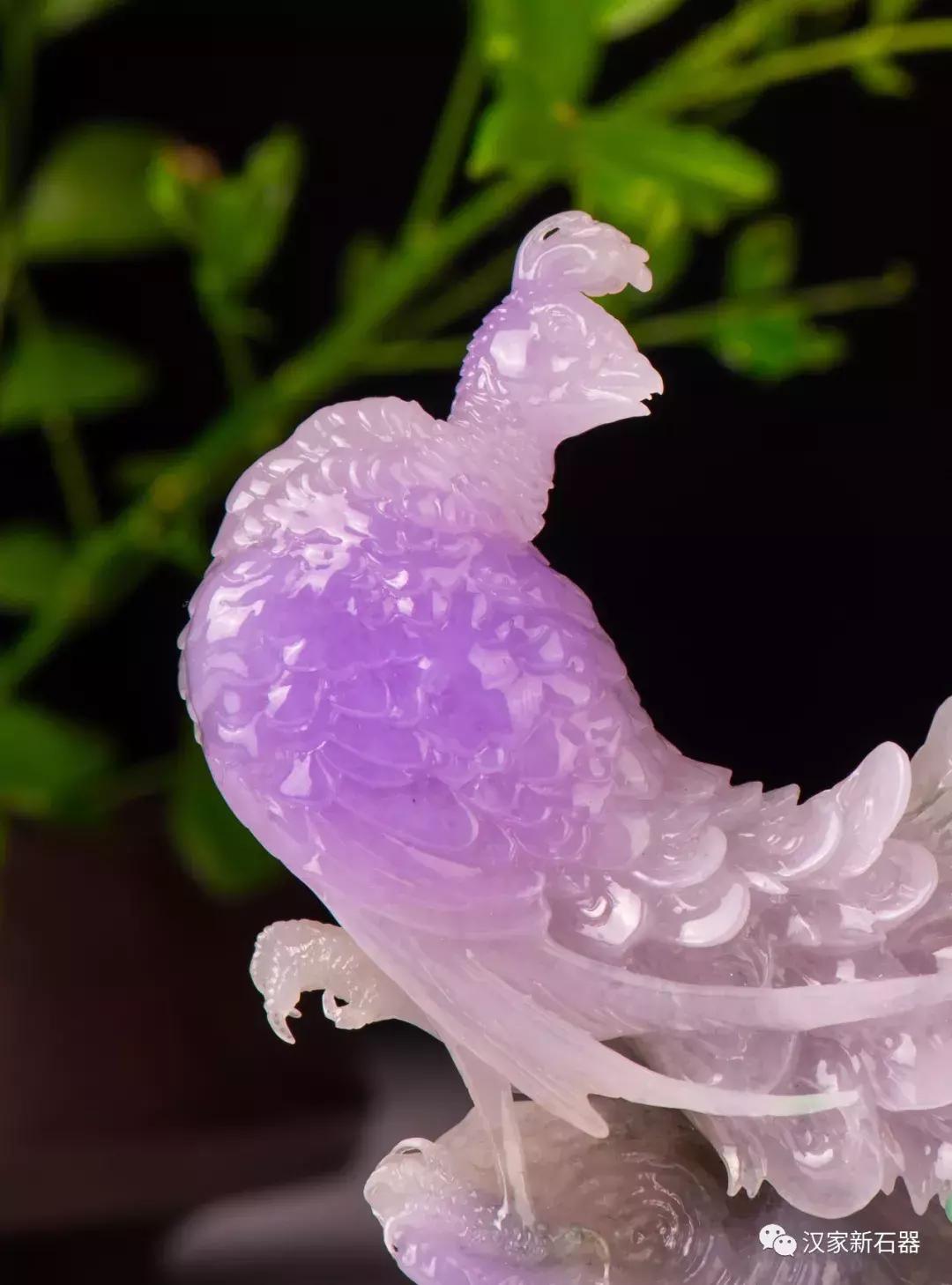 凡尘的凤凰,遗落在凡间的凤凰