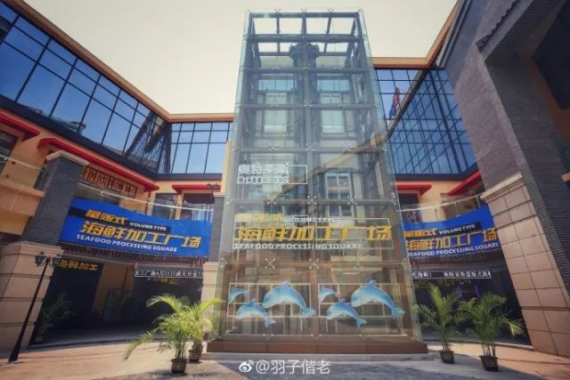 不再关心不再过问,不再过问身后事