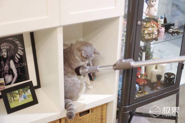 猫奴必做攻略,猫奴必看喵星人