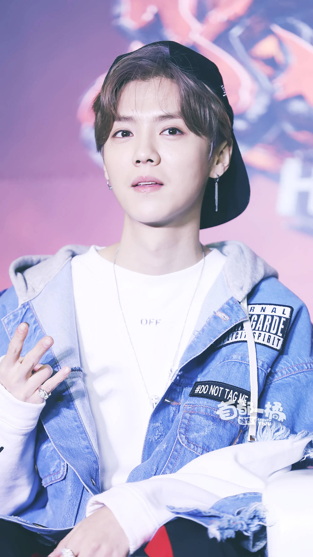 鹿晗手机壁纸樱花鹿,鹿晗壁纸手机超清全面屏