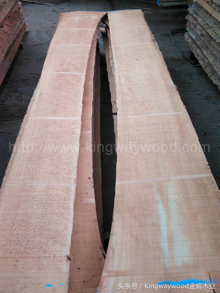 榉木板材批发厂家直销,光面榉木板材批发