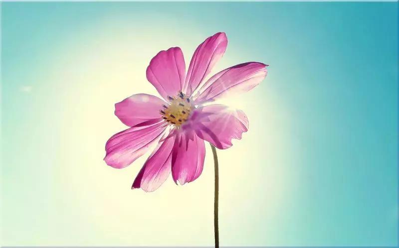 艾灸太溪穴治咳喘,艾灸大椎穴能治风热咳嗽