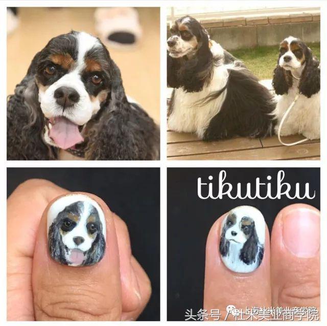 狗年财运最好的地方,狗年发财什么意思