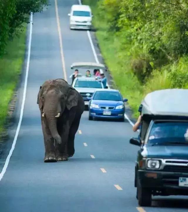 曼谷自由行攻略昆明出发,昆明至曼谷旅游攻略