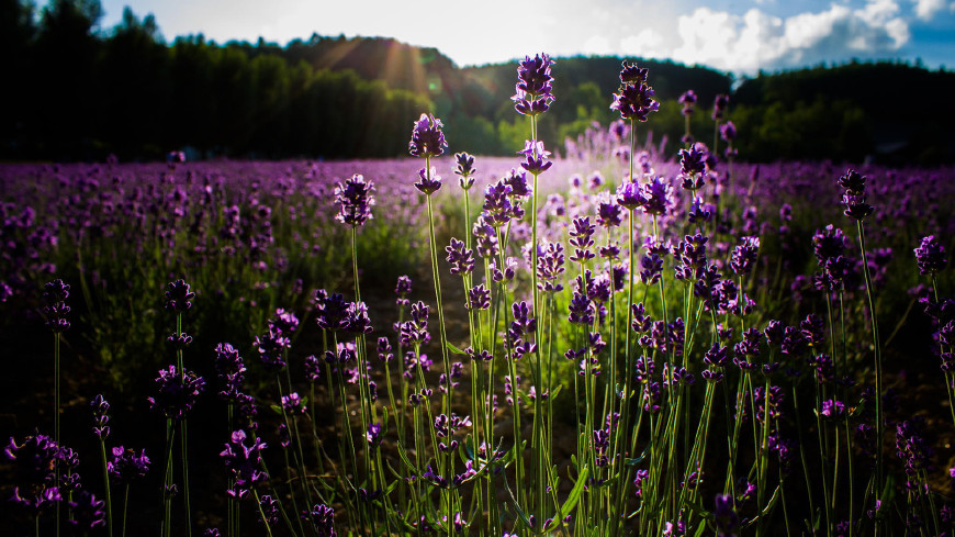 男友对自己有抵触心理该怎么办,怎样挽回男人对你厌倦的心理