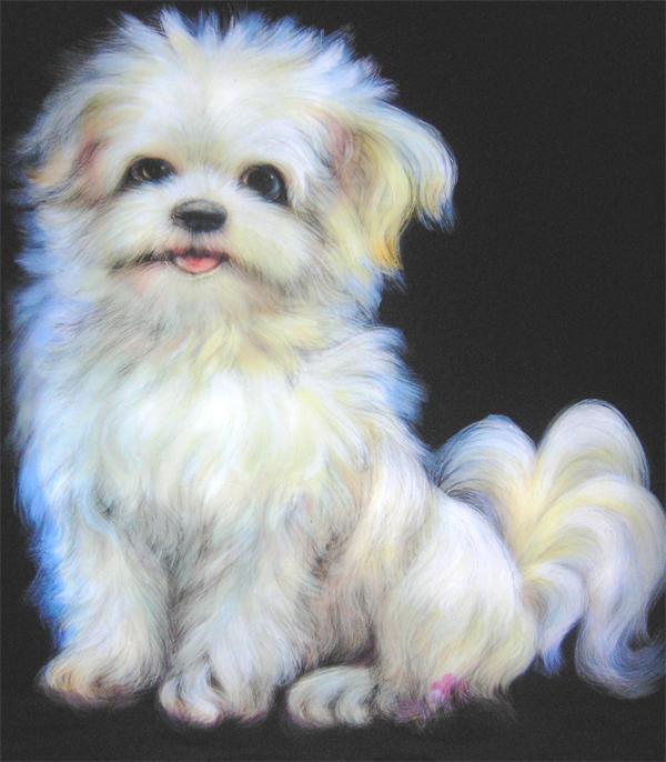 鐩涚劙,鐩涚劙闀滅敾