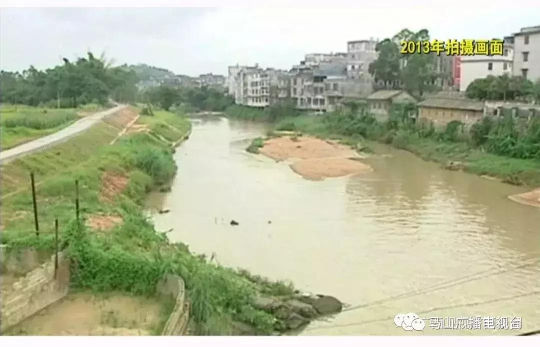 广西生态：“金字招牌”越擦越亮绿水青山变成“金饭碗”