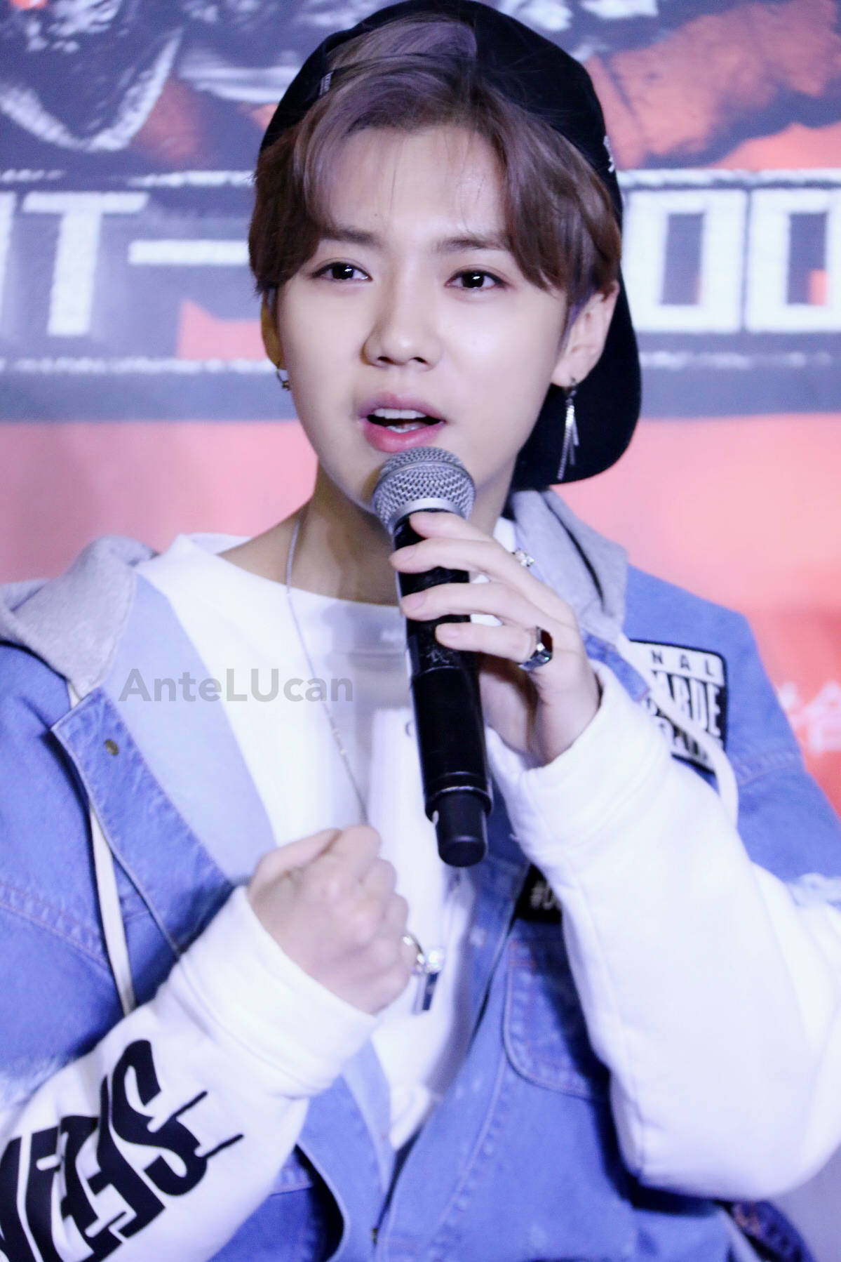 鹿晗手机壁纸樱花鹿,鹿晗壁纸手机超清全面屏