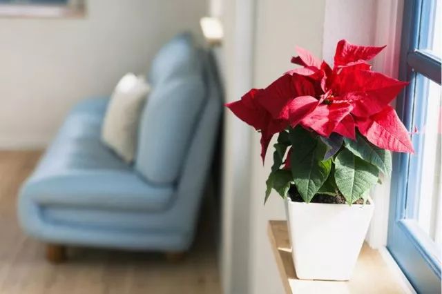 口腔门诊器械维修管理制度,口腔科室耗材管理制度