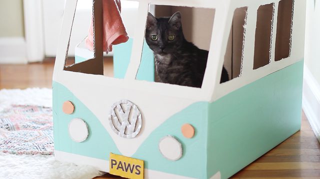 自制猫咪纸箱简单教程,纸箱自制一只迷你小宠物