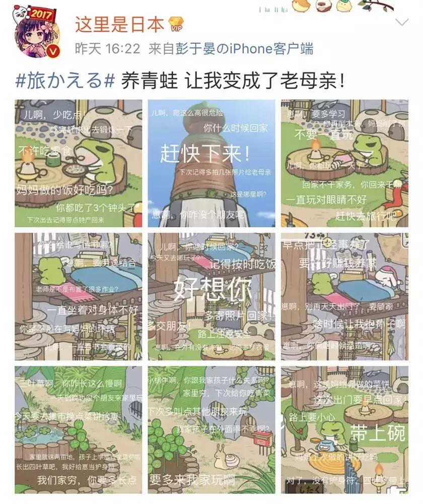 旅行青蛙不同人的养蛙方式,旅行青蛙养蛙指南