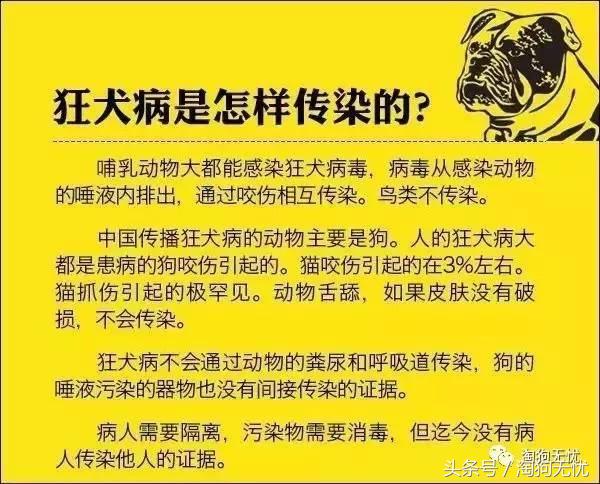求助小猫被绳子缠住后续,被猫抓了要去打针吗
