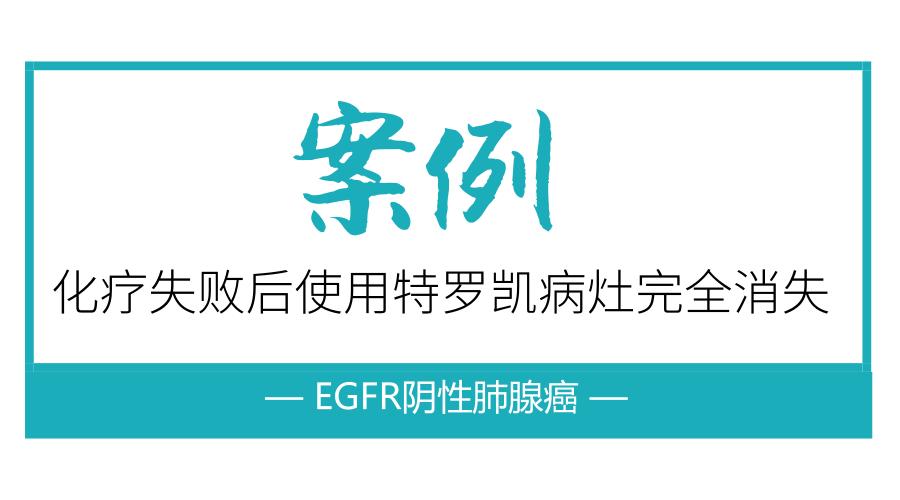 案例：化疗失败的EGFR阴性肺腺癌使用特罗凯病灶完全消失