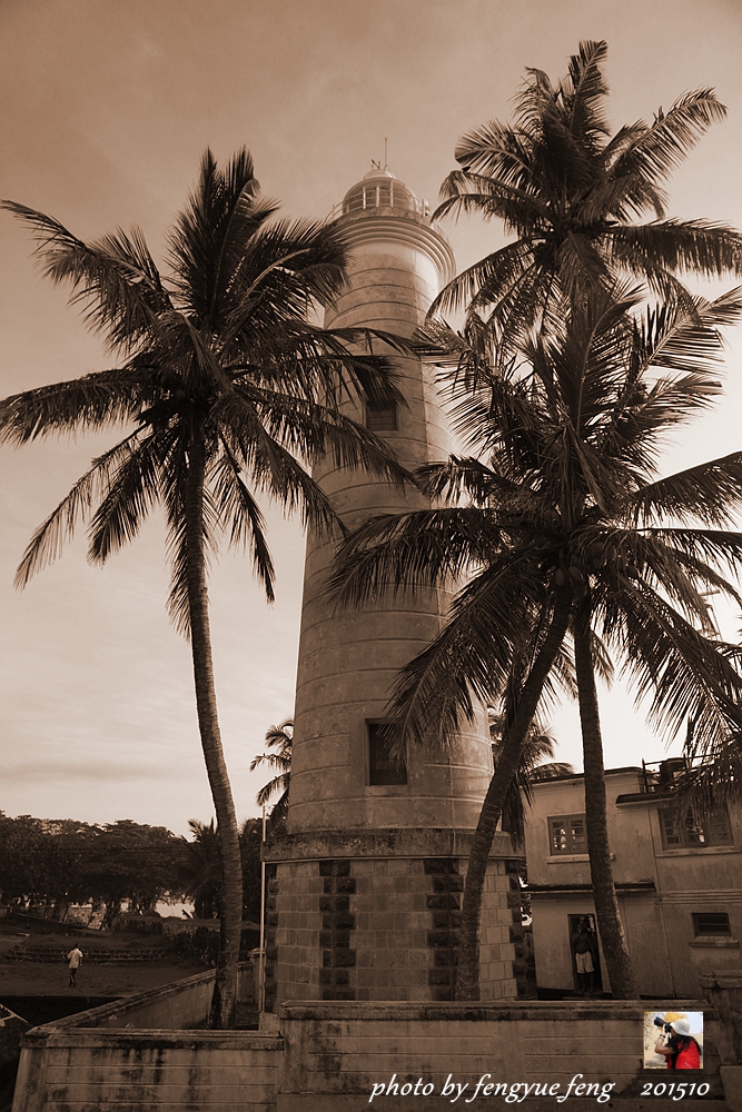 斯里兰卡旅游景点视频全集,斯里兰卡咋去