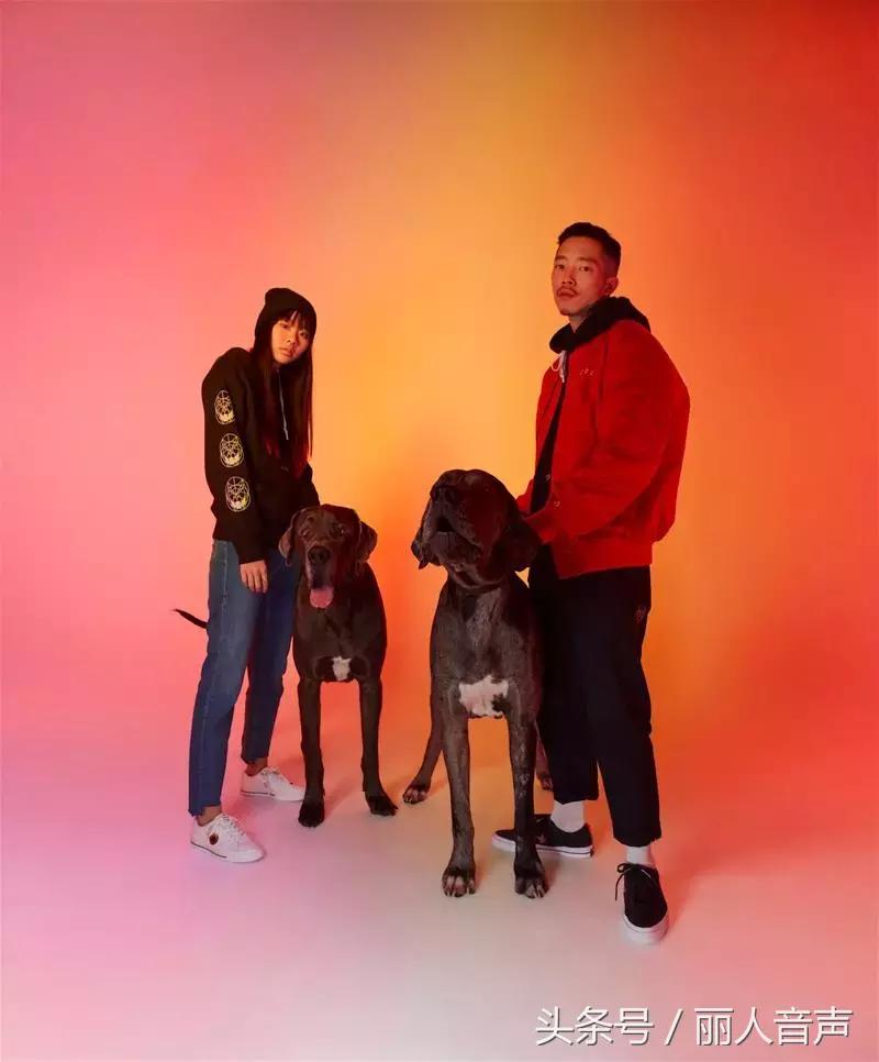 对十二生肖的权威解读表,中国人对十二生肖的看法