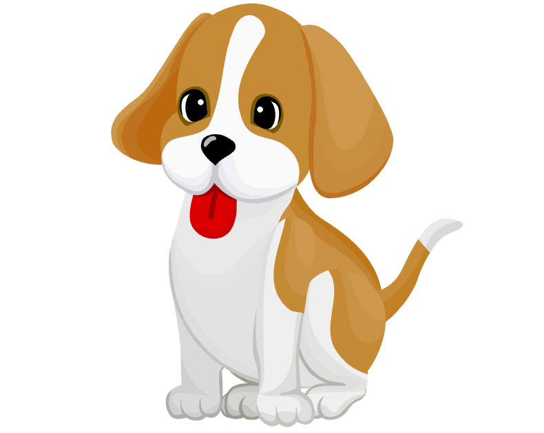 2018年，犯太岁的人只要这么做，万事大吉