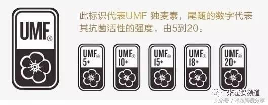 年货礼盒购物车,年货售卖车