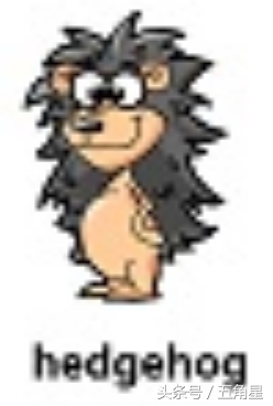 20个动物英语单词,2-8岁儿童学动物英文单词