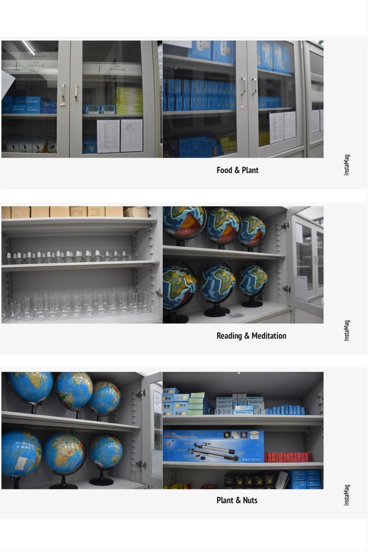学生成长的沃土师生眷恋的乐园一一八桂绿城小学2017年工作汇报