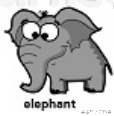 各种动物的英文单词视频,2-8岁儿童学动物英文单词