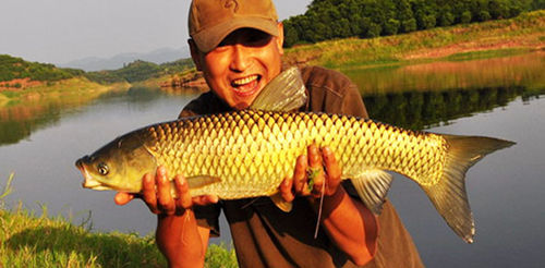 酸菜鱼工艺配方,做酸菜鱼哪种酸菜配料好吃