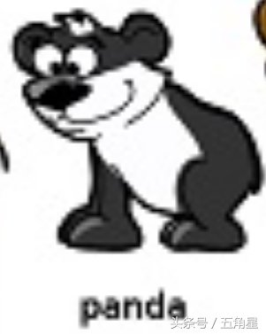 动物的英文单词都有哪些,动物英语单词13个