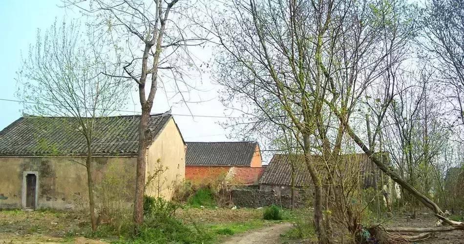 军哥创业失败后回农村改造小院,淘宝村淘需要什么条件