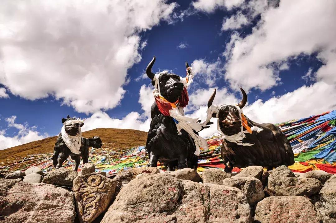 拉林高速最美段,公路的颜值