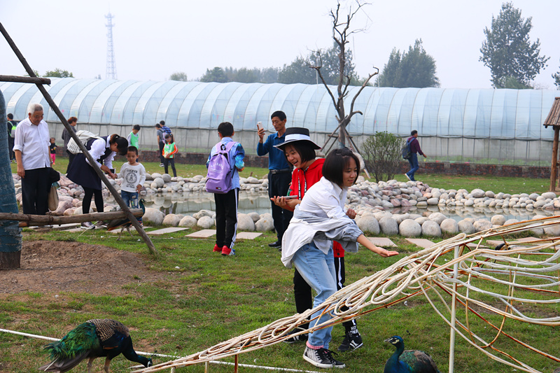 司徒小镇景区栖嬉园,山西司徒小镇栖嬉园