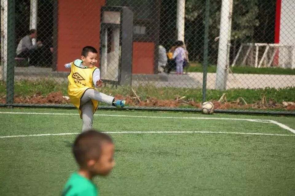 华夏茶书院招生简章 (华夏茶学培训班)