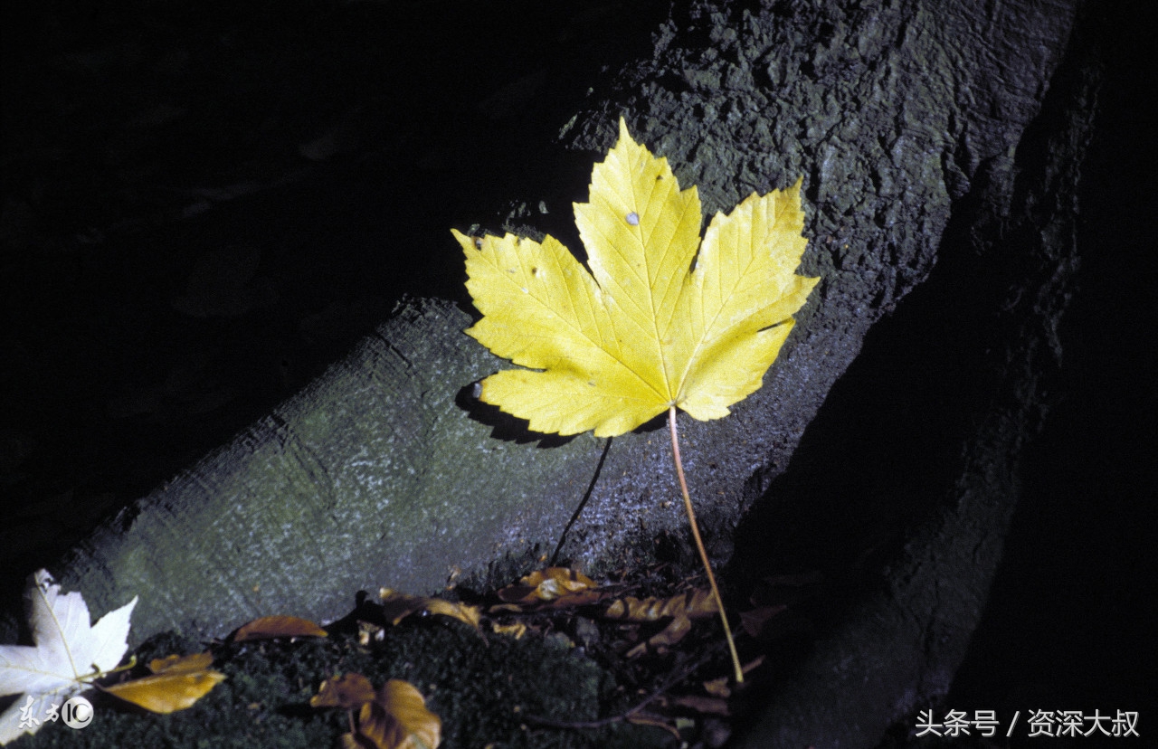 足球解说员经典解说词,足球十大经典解说语录