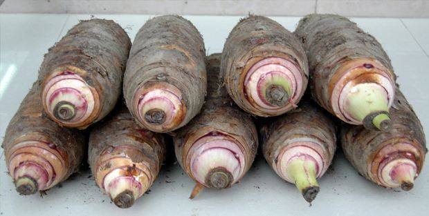 南通吃喝攻略必去景点,南通旅游美食推荐