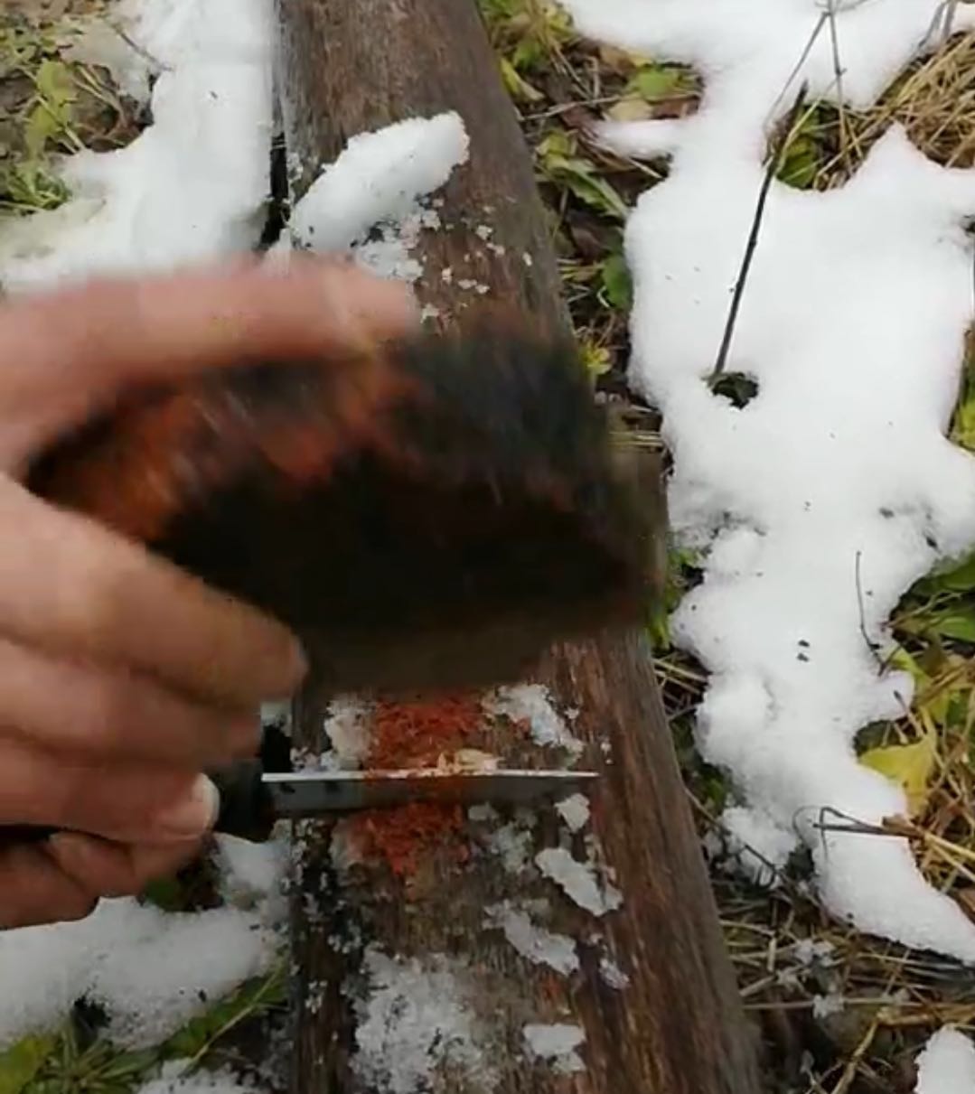 汉道生存大师2值得入手吗,汉道生存大师评测
