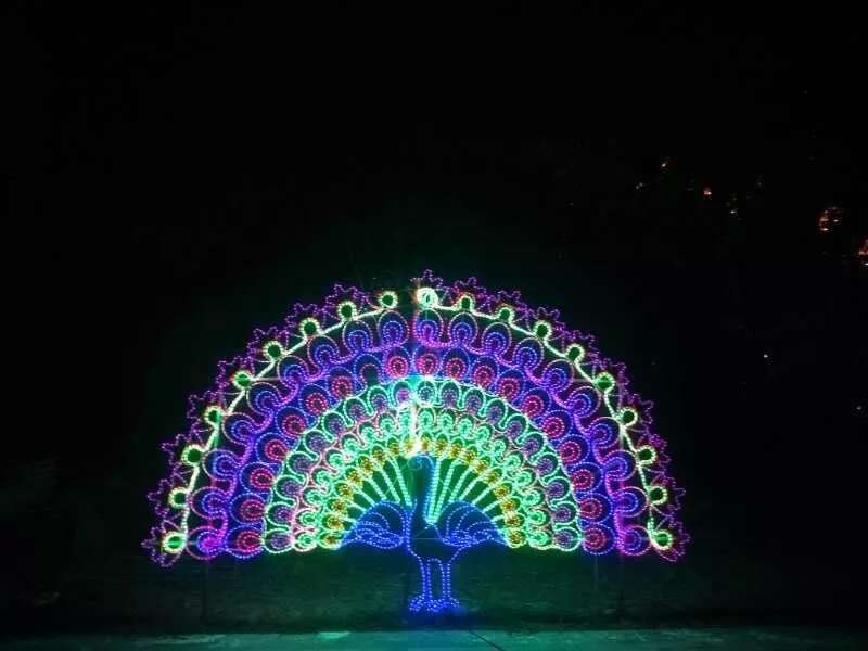 缤纷悉尼灯光音乐节西安,缤纷亚马逊